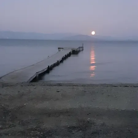 Eleni's *